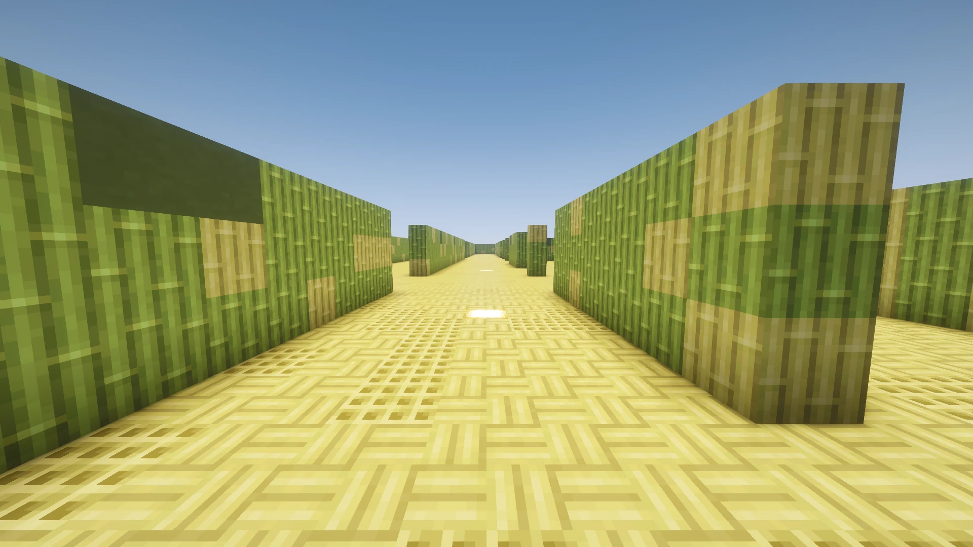 Inside the Bamboo maze, at corridor level