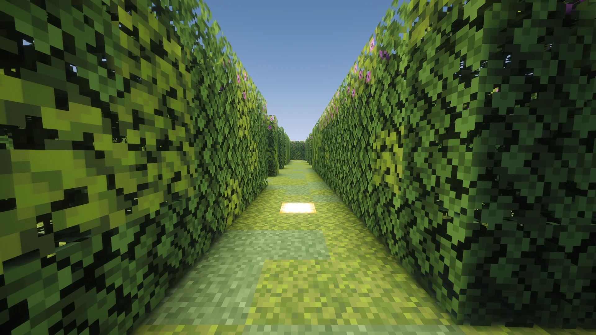 Inside the Hedge maze, at corridor level